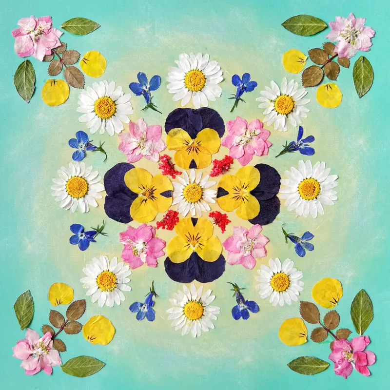 A completed mandala art piece using dried flowers and pastel acrylic paints, framed for home decoration. This mandala art kit for beginners offers a creative way to express emotions and achieve calm through artistic creation.