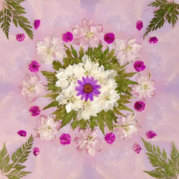 Dried flower mandala art using natural petals